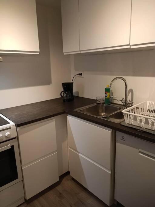 Cozy Apartment Close To Downtown Tromsø Extérieur photo